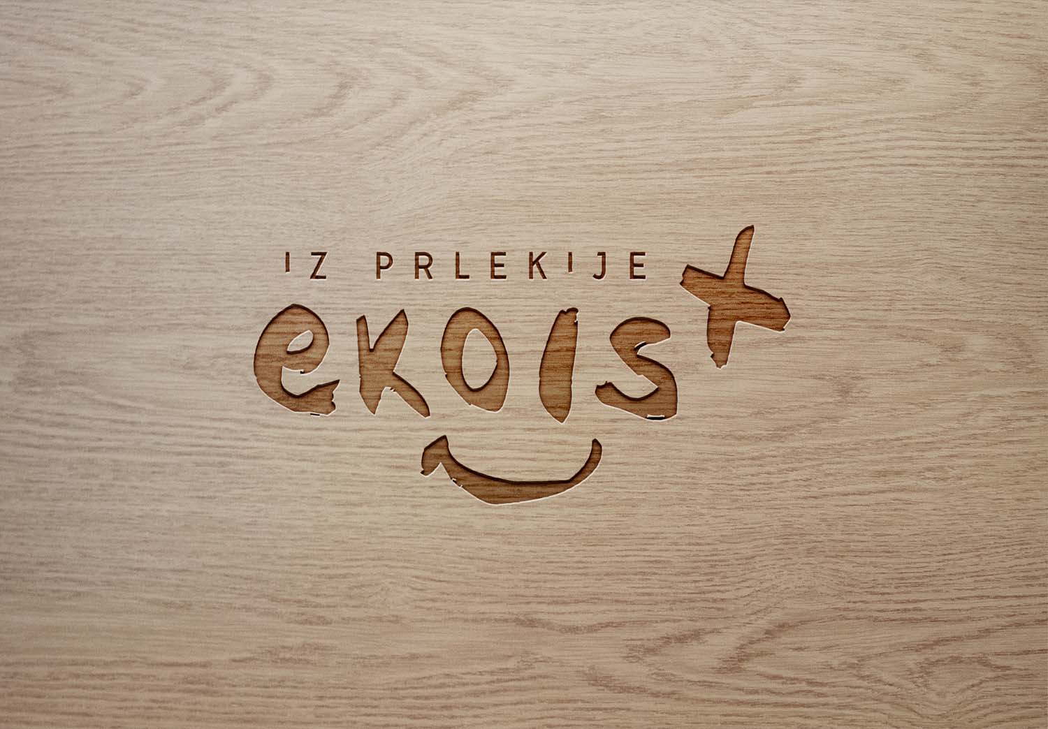 EKO prlekija: umestitev logotipa - verzija 2